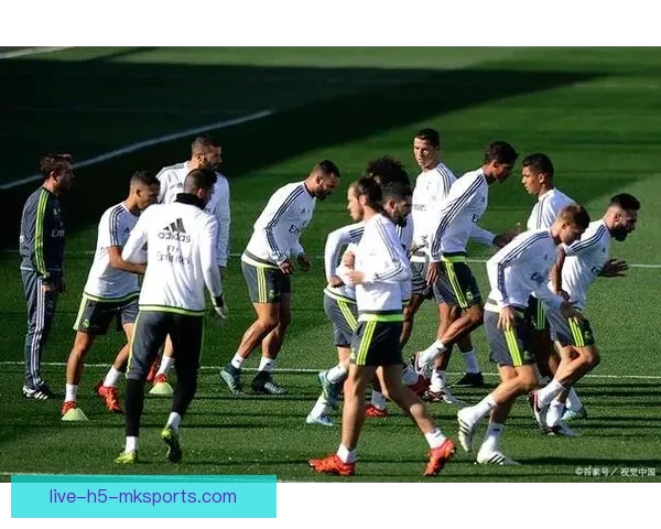 最新足球世界排名一览表解析各国实力变迁与竞争格局趋势与未来展望